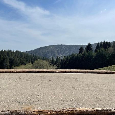 Appartement - Au Coeur Du Lac Blanc Orbey Kültér fotó