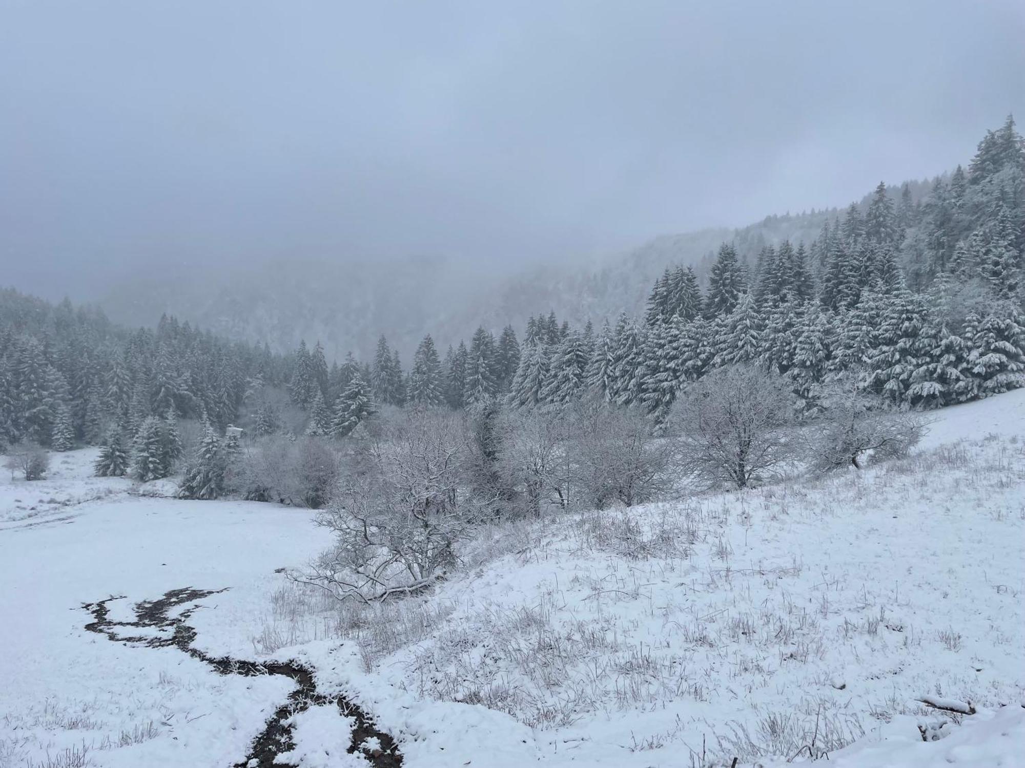 Appartement - Au Coeur Du Lac Blanc Orbey Kültér fotó